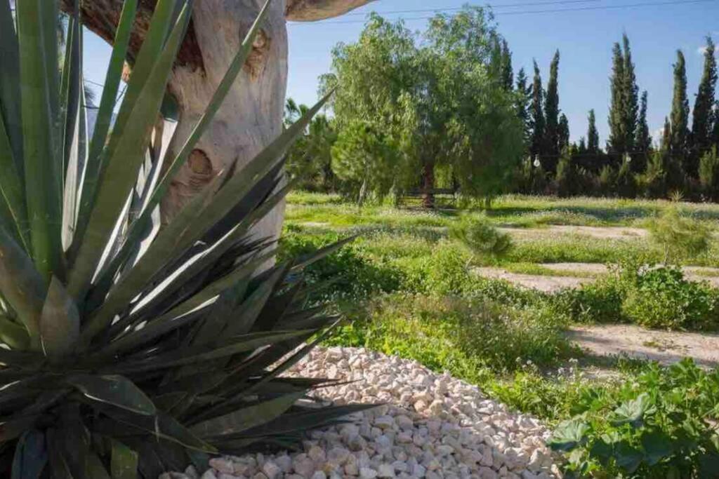 Villa Fina Murcia Eksteriør billede